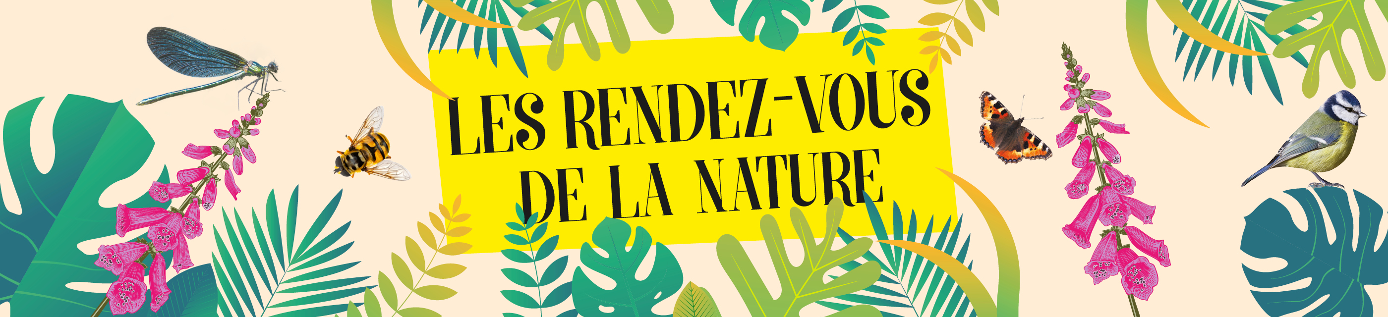 Les rendez-vous de la nature