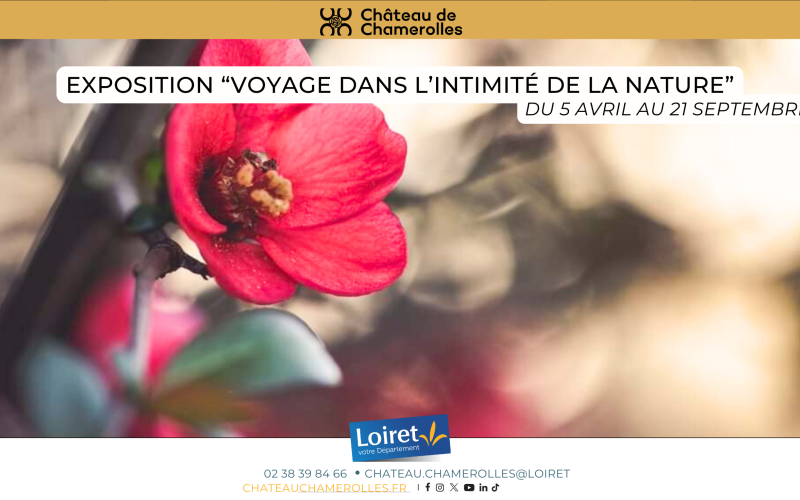 Exposition photos voyage au coeur de la nature