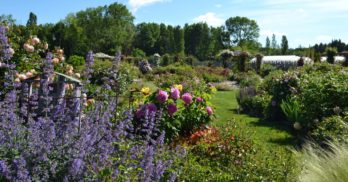 le jardin andre eve