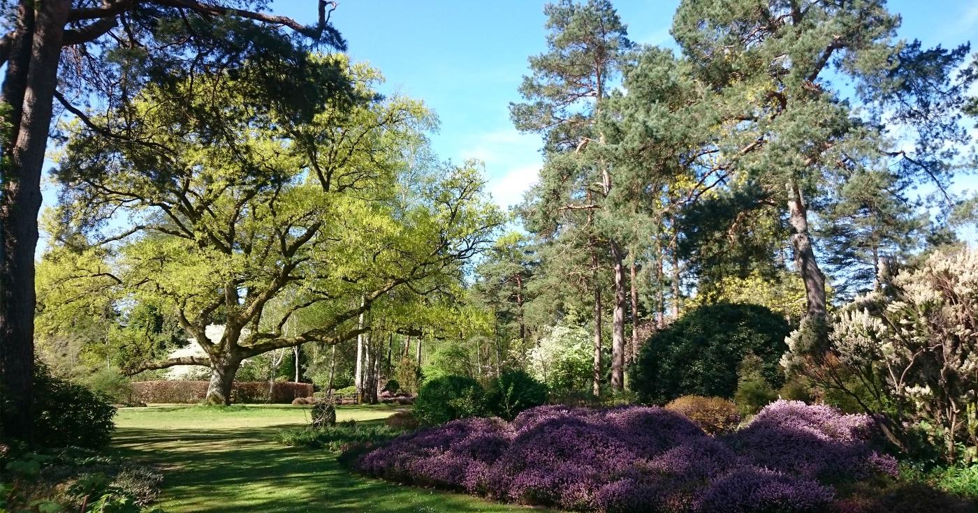 Arboretum