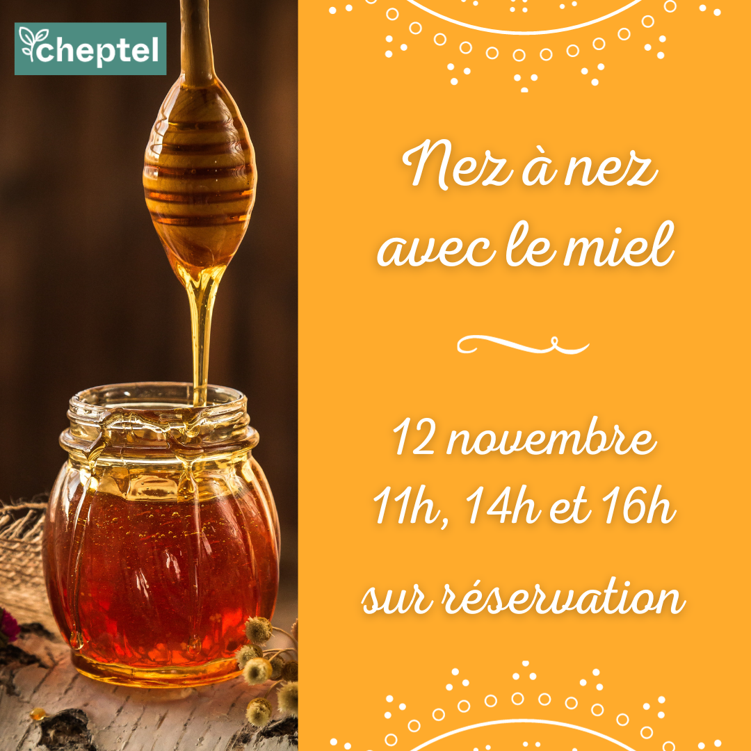 Nez à nez avec le miel, une rencontre avec le monde des abeilles et le miel au château de Chamerolles